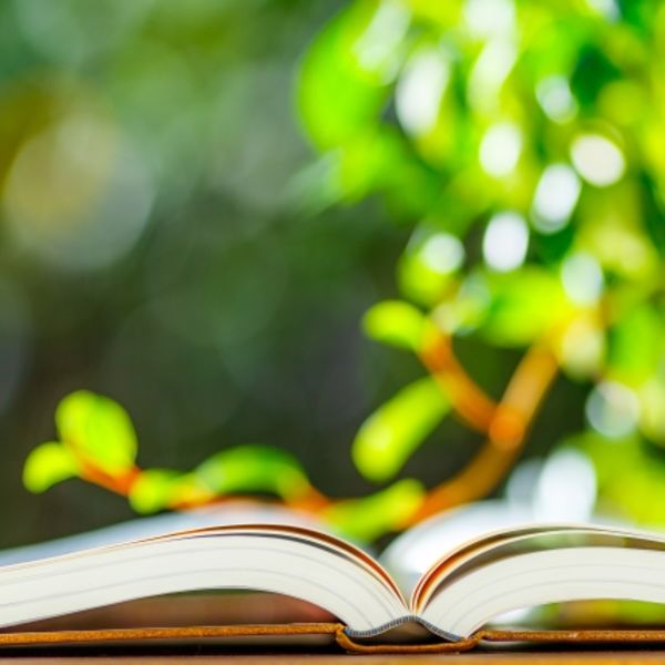 司法書士として茨城で遺言状の作成を担当しております