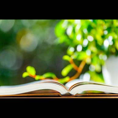 茨城で遺言作成のご相談なら水戸駅南司法書士事務所へ